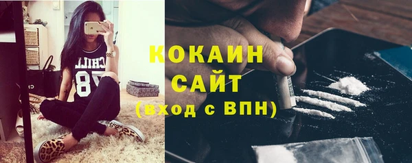 стаф Елабуга