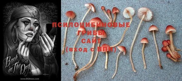 МДМА Заволжье