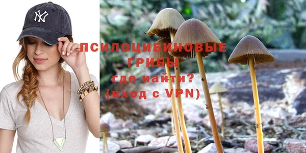 стаф Елабуга