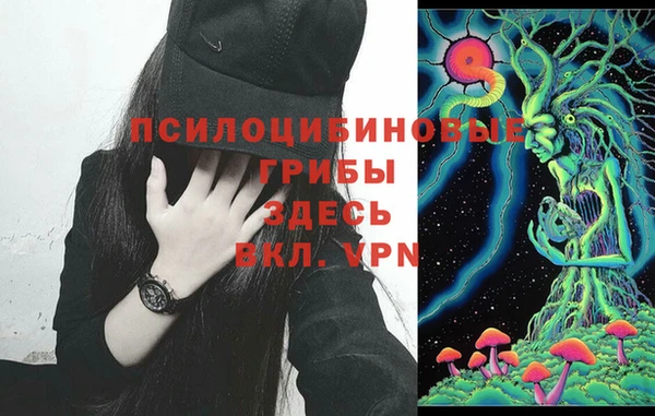 стафф Анжеро-Судженск