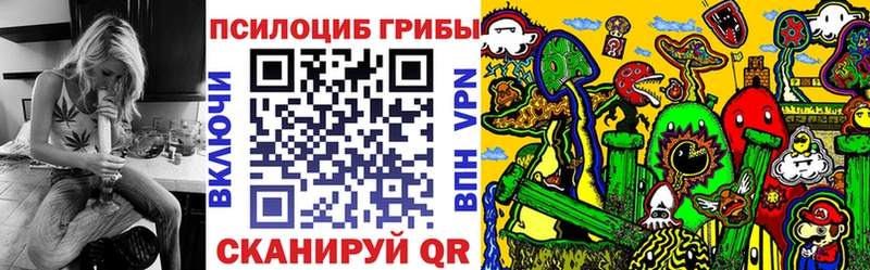 Псилоцибиновые грибы Cubensis  Каменка 