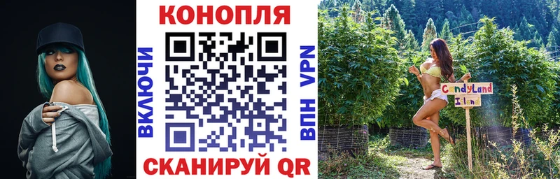 Бошки Шишки Bruce Banner  купить наркотик  Каменка 